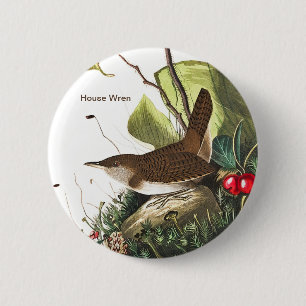 House Wren av John James Audubon, Fågelskådare B Knapp