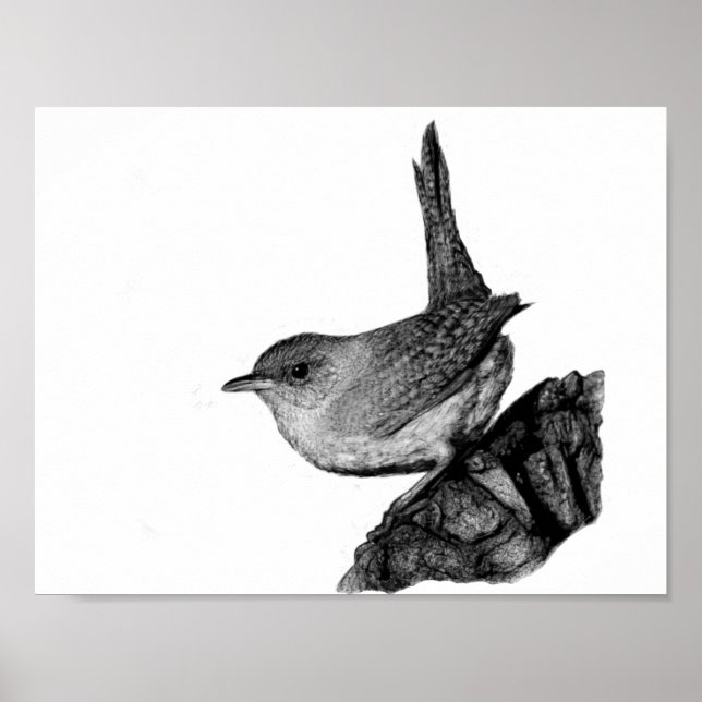 House Wren Poster (Framsidan)
