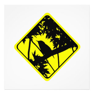 House Wren Warning Sign Love Bird Watching Fototryck