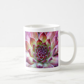 houseleek kaffemugg