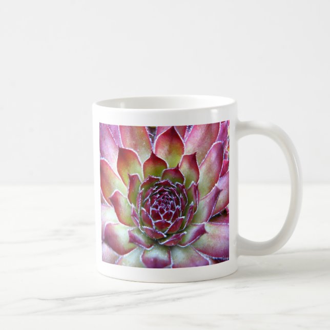 houseleek kaffemugg (Höger)