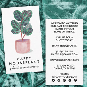 Houseplant Calathea Prayer Plant Social Visitkort