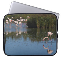 Housse d'ordinateur flamants roses