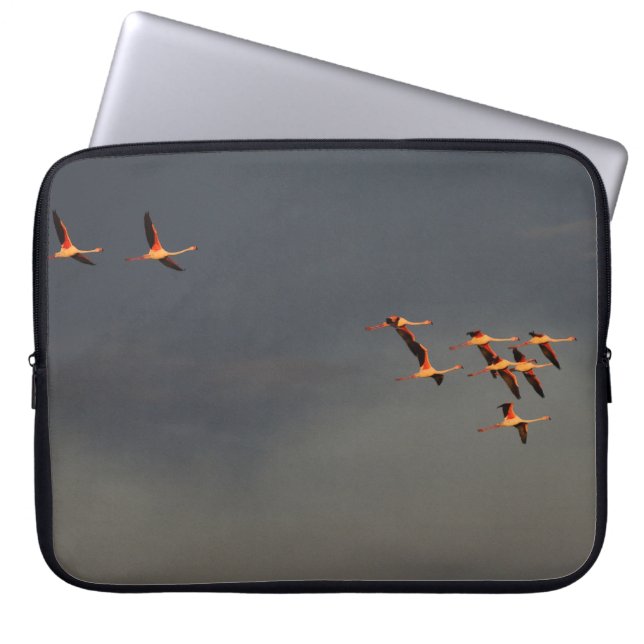 Housse d'ordinateur motif flamants roses laptop fodral (Framsidan)