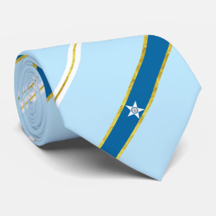 Houston City flagga-säl Neck Tie Slips