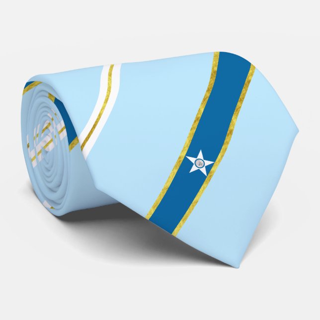 Houston City flagga-säl Neck Tie Slips (Rullad)
