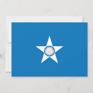 Houston flagga stad