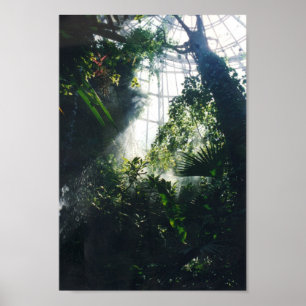 Houston museum av vetenskap och naturen poster
