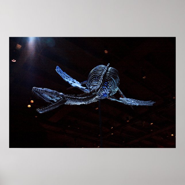 Houston Museum of Natural Science Poster (Framsidan)