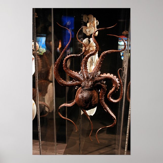 Houston Museum of Natural Science Poster (Framsidan)