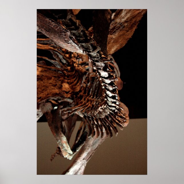 Houston Museum of Natural Science Poster (Framsidan)