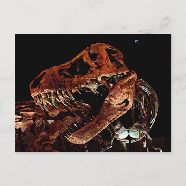 Houston Museum of Natural Science Vykort (Framsida)