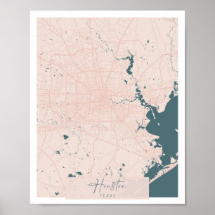 Houston Texas Rosa och Blue Cute Script Street Kar Poster