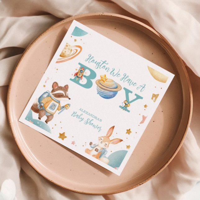 Houston vi har en pojke Rymden Pappersservett (Skapare uppladdad)