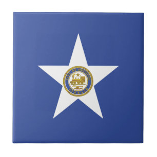 Houstons Flagga (Texas) Kakelplatta