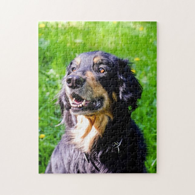 Hovawart Hund. Pussel (Vertikal)