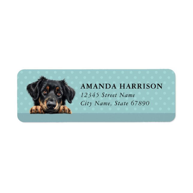 Hovawart Hund Returadress Etiketter (Framsidan)