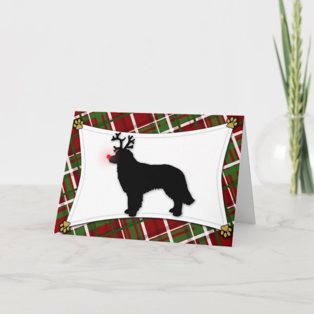 Hovawart Reindeer julkort Helgkort (Framsida)