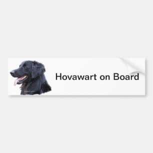 hovawartzwart bildekal
