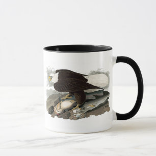 Hövdad örn för vit John James Audubon Mugg