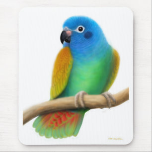 Hövdad Pionus för blått papegoja Mousepad Musmatta