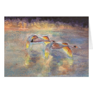 Hövdat hem för svanar på solnedgången OBS kort