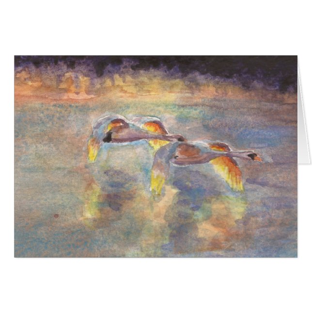 Hövdat hem för svanar på solnedgången OBS kort (Framsidan Horizontal)