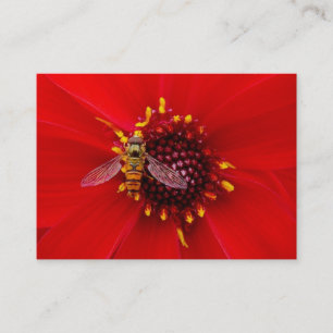 Hover Fly på en Dahlia, Mini Photo Visitkort