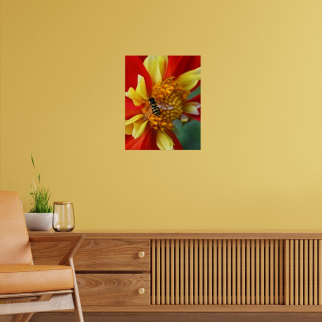 Hover Fly på fotografiet Collarette Dahlia Poster (Vardagsrum 2)