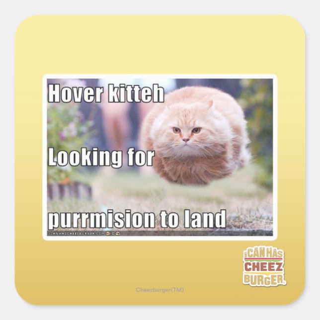 Hover kitteh fyrkantigt klistermärke (Framsida)