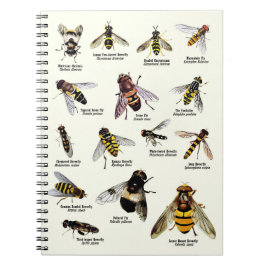 Hoverflies av UKEN - anteckningsbok