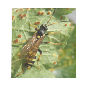 Hoverfly-Anteckningsblock Anteckningsblock
