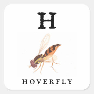 Hoverfly Fyrkantigt Klistermärke