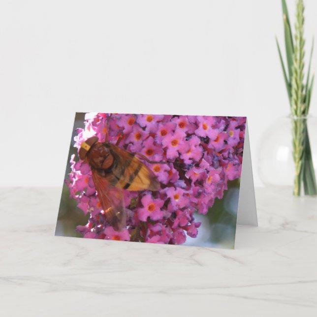 Hoverfly Greeting Card Kort (Framsida)