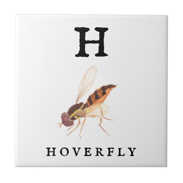 Hoverfly Kakelplatta (Framsidan)