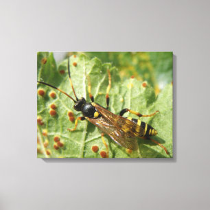 Hoverfly-Kanvastryck Canvastryck