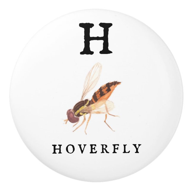 Hoverfly Knopp (Framsidan)