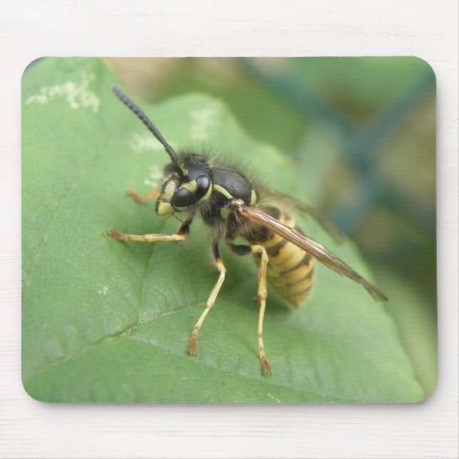 Hoverfly Macro Mousepad Musmatta (Framsidan)