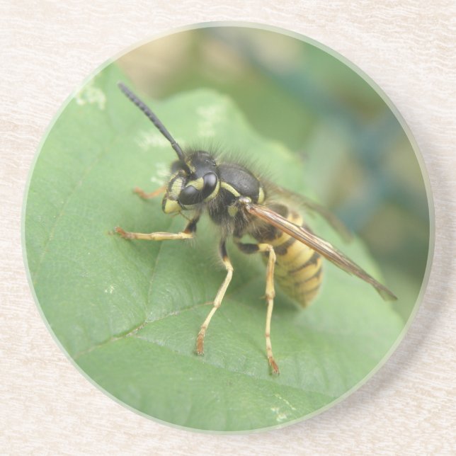 Hoverfly Macro Underläggs Underlägg (Framsidan)