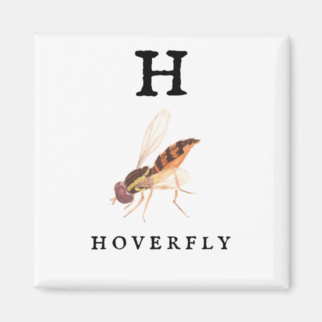 Hoverfly Magnet (Framsidan)