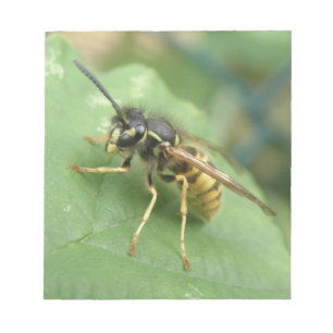 Hoverfly-makro-Anteckningsblock Anteckningsblock