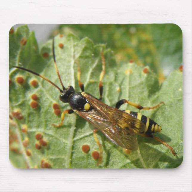 Hoverfly Mousepad Musmatta (Framsidan)