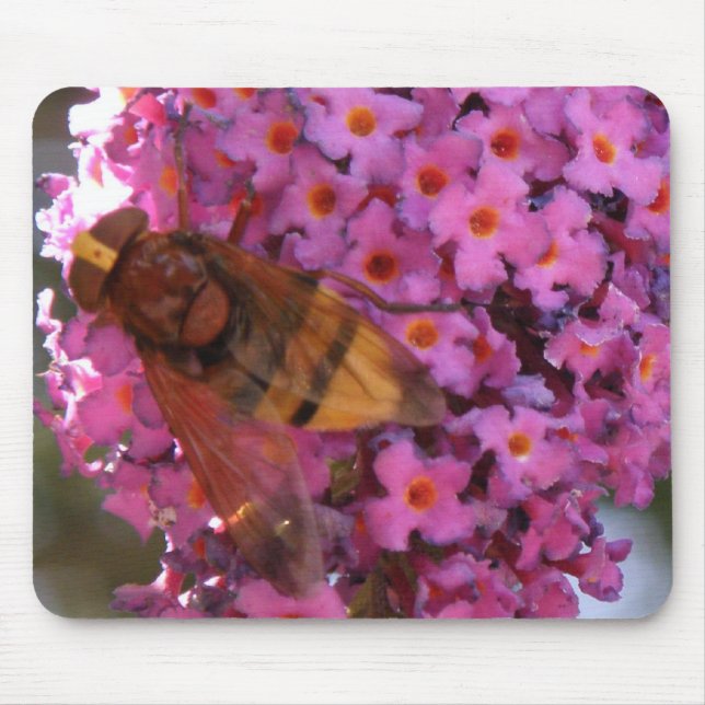Hoverfly Mousepad Musmatta (Framsidan)