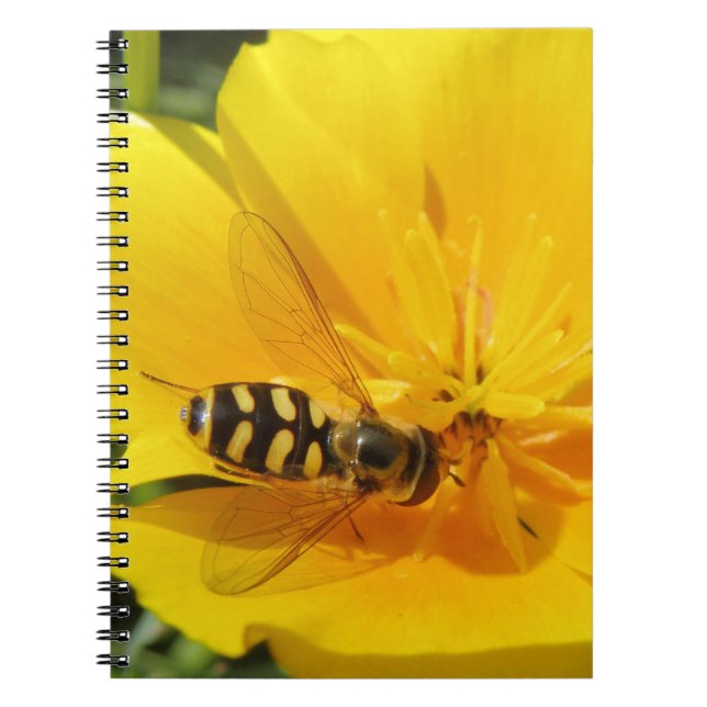 Hoverfly och Flower Notebook Anteckningsbok Med Spiral (Framsidan)