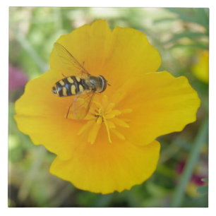 Hoverfly och Kalifornien Poppy Tile Kakelplatta