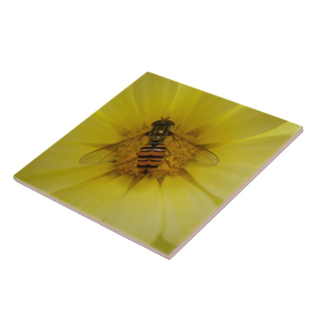 Hoverfly på en Marigold Tile Kakelplatta (Sidan)