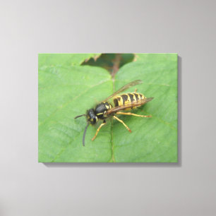 Hoverfly på ett Löv-Kanvastryck Canvastryck