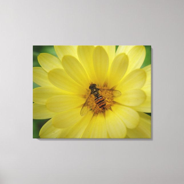 Hoverfly på ett Marigold-Kanvastryck Canvastryck (Framsida)