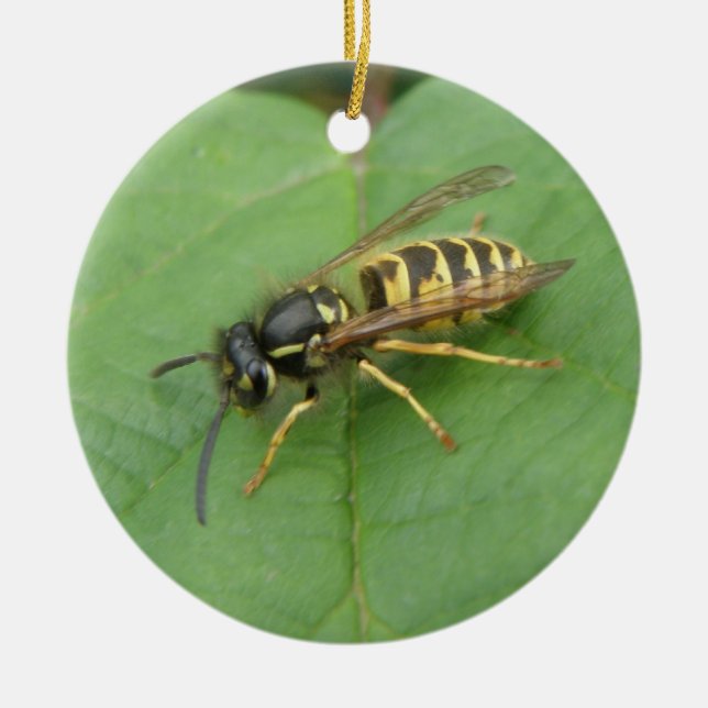 Hoverfly på Löv Anpassningsbar Birthday Julgransprydnad Keramik (Framsidan)