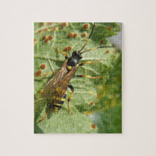 Hoverfly Puzzle Pussel